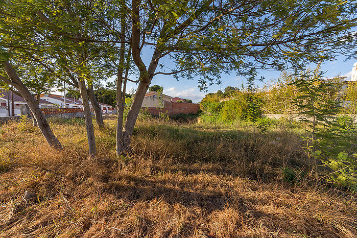 Plot for sale in Riells