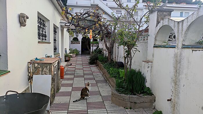 Large single-storey house of 234 m2 on a plot of 643 m2
